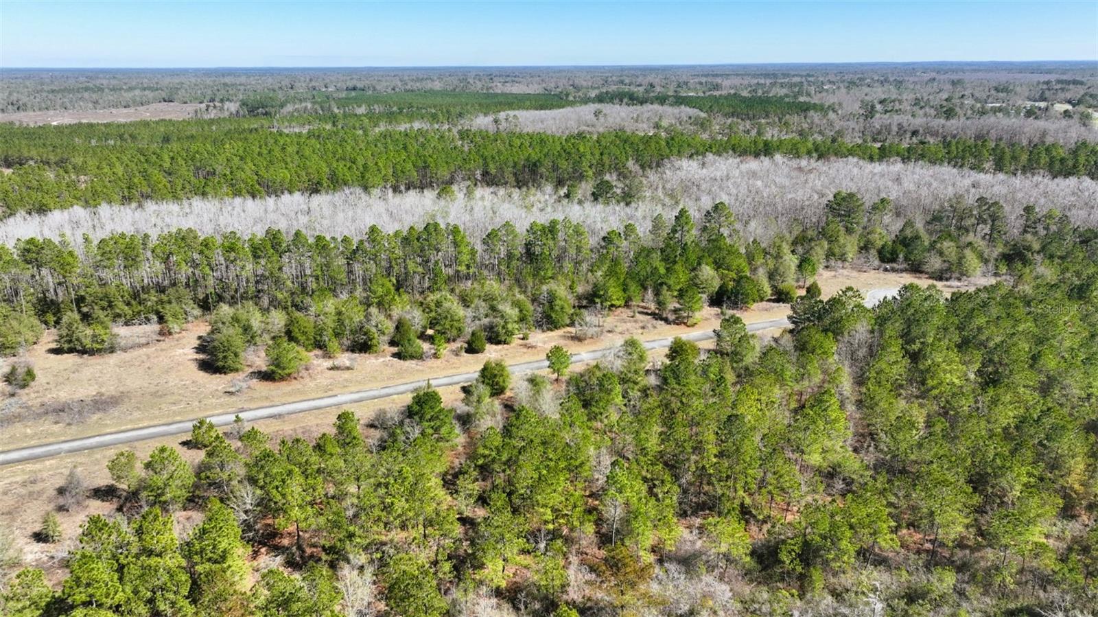 Stone Bridge Trl Property Photo 10