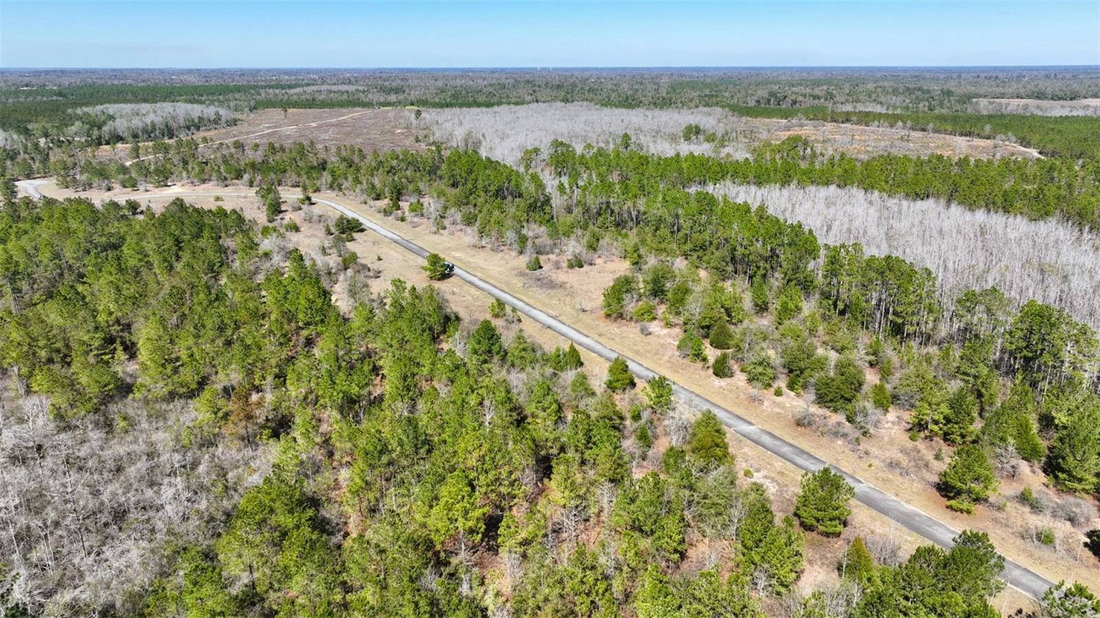 Stone Bridge Trl Property Photo 13