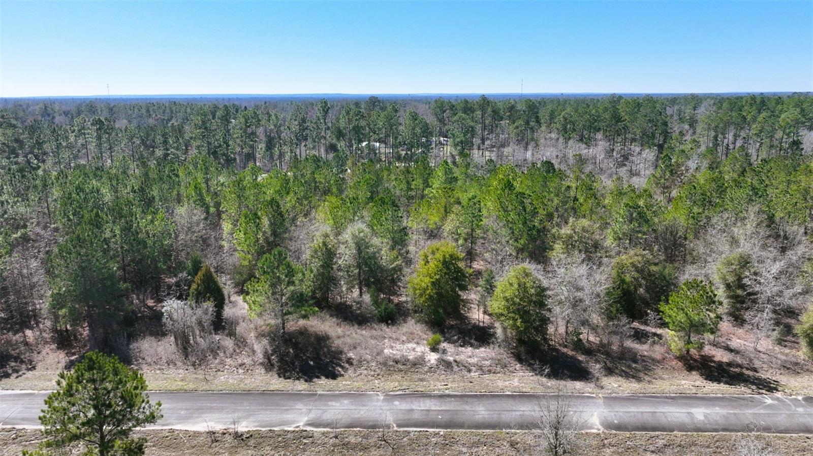 Stone Bridge Trl Property Photo 17