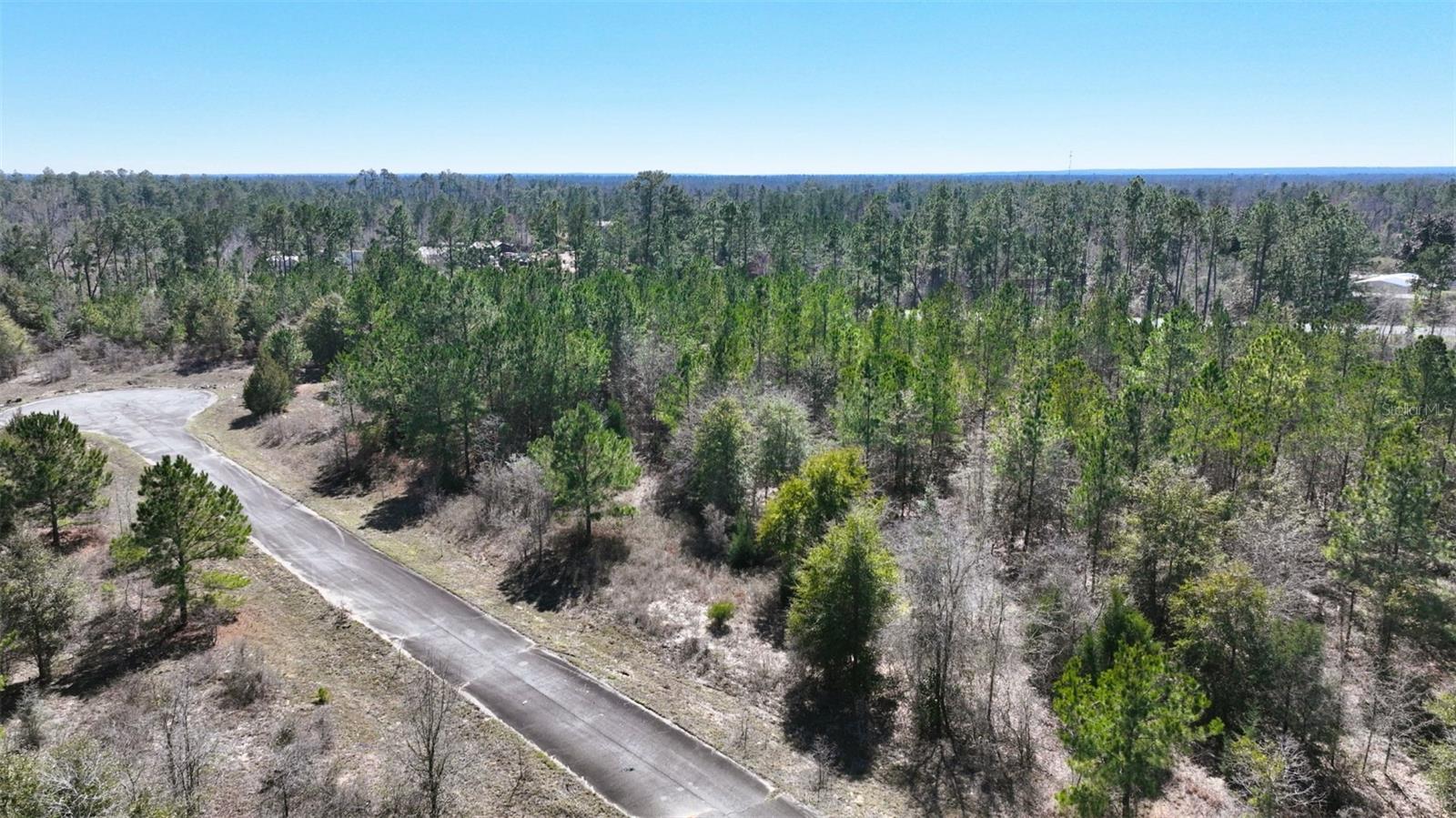 Stone Bridge Trl Property Photo 18