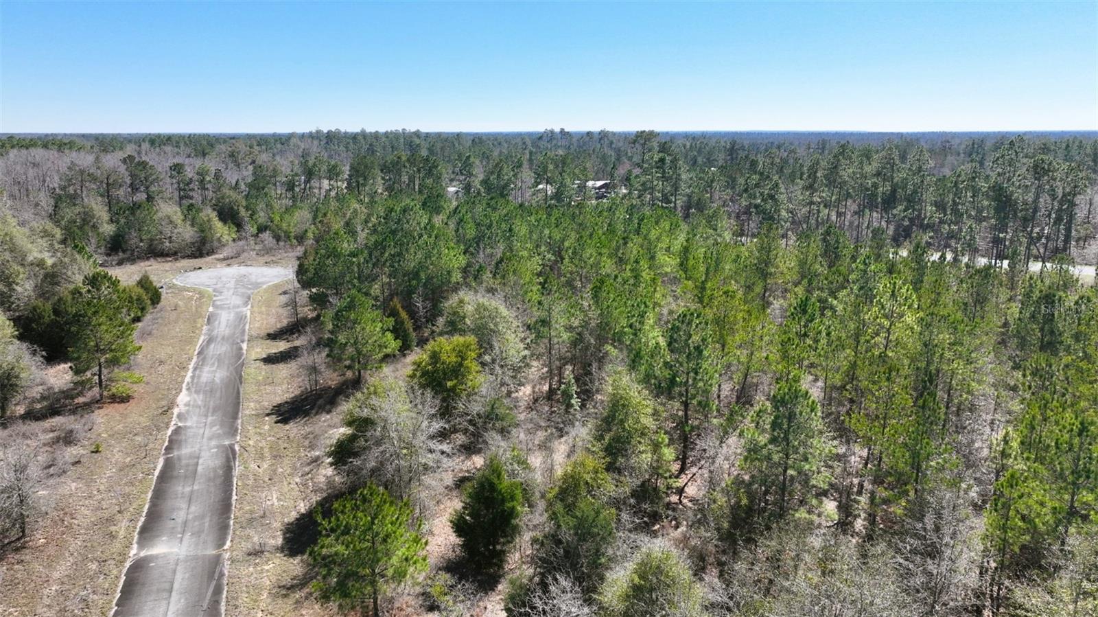 Stone Bridge Trl Property Photo 19