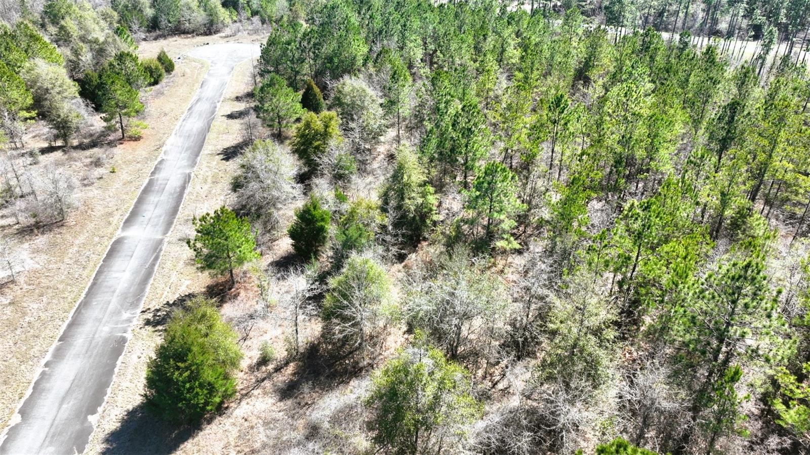 Stone Bridge Trl Property Photo 20