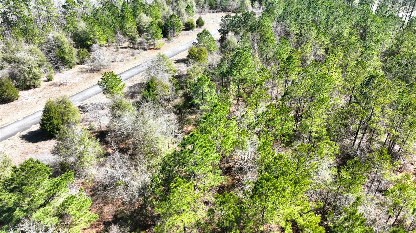 Stone Bridge Trl Property Photo 21