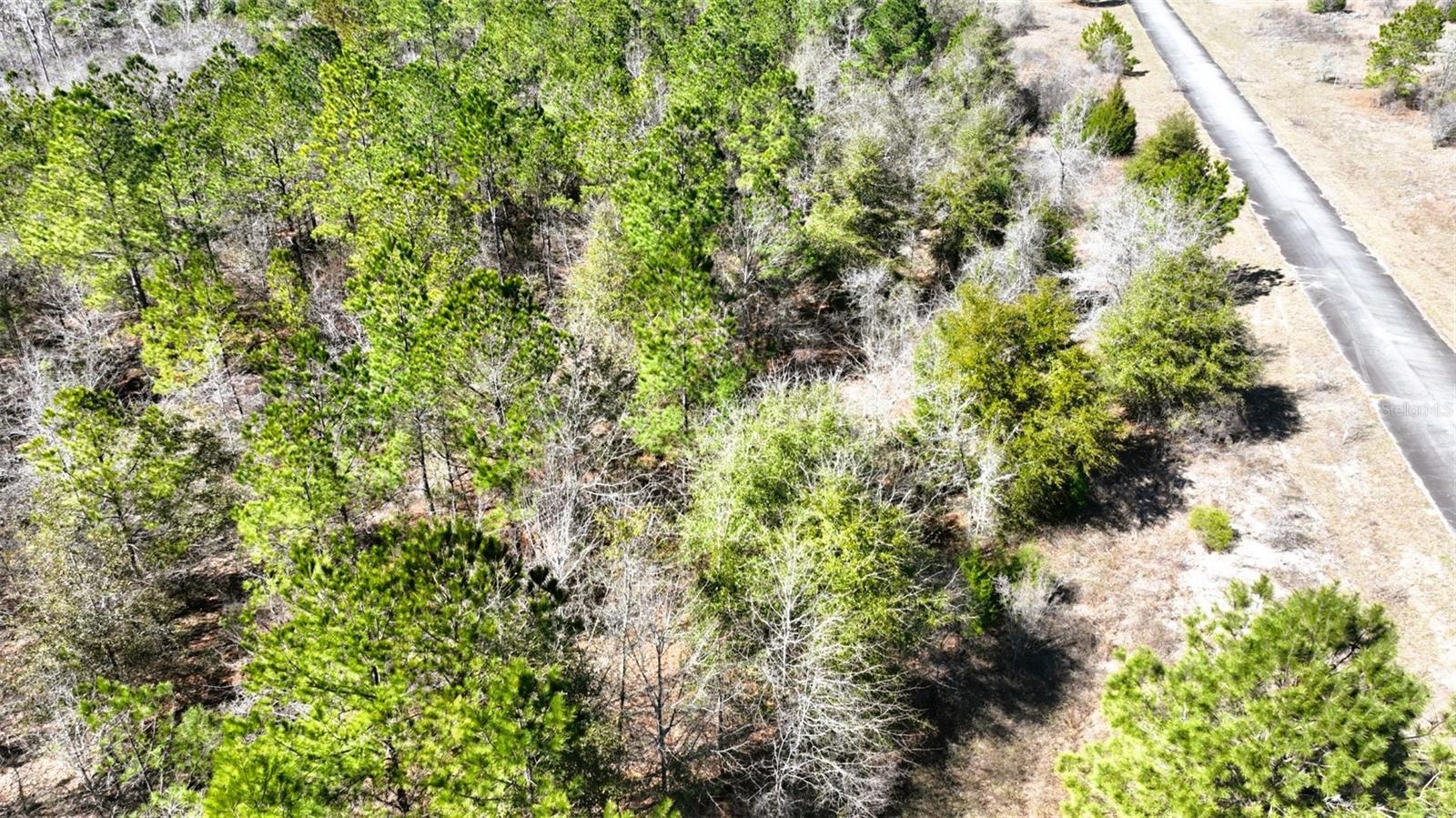 Stone Bridge Trl Property Photo 27