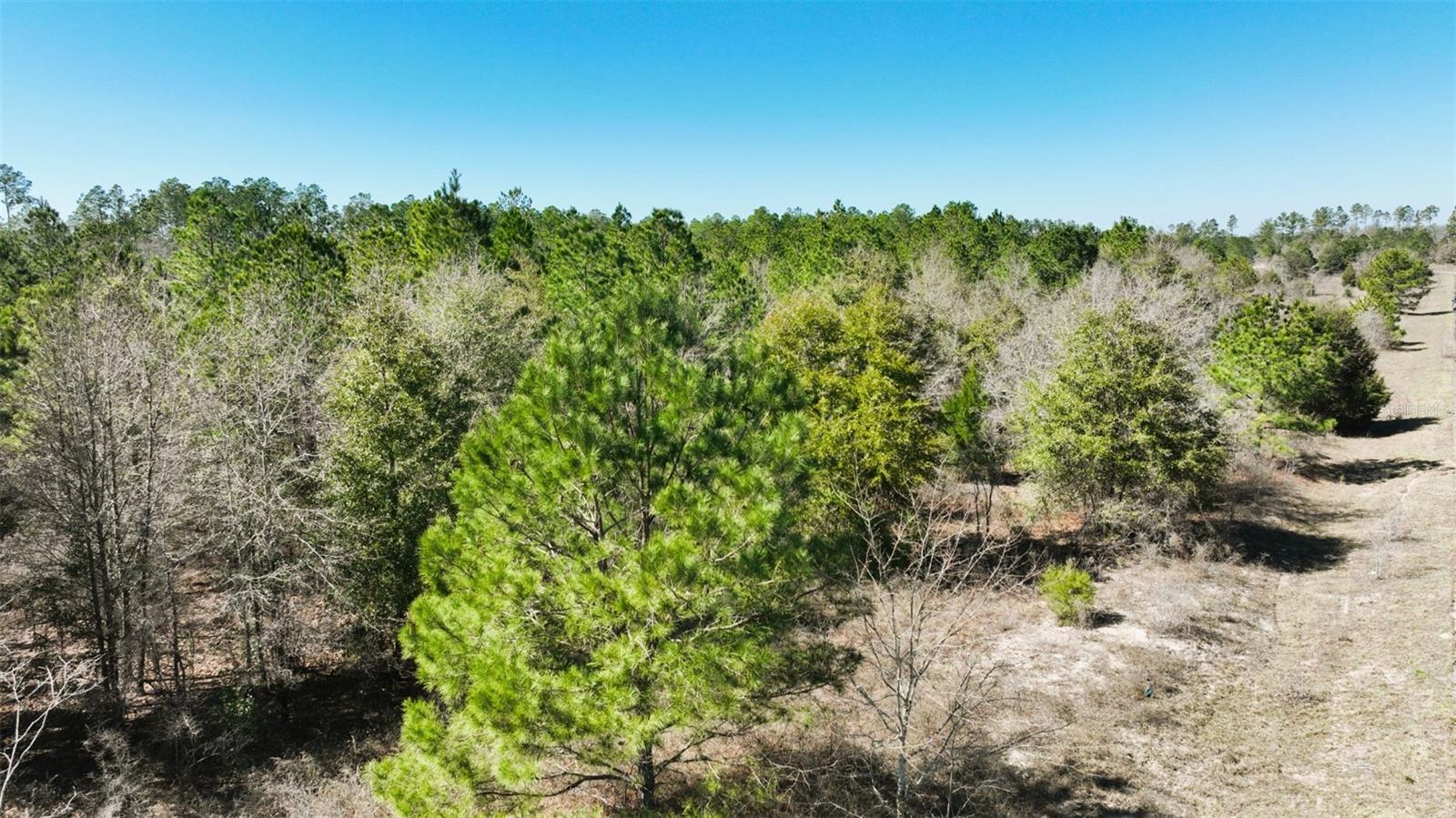 Stone Bridge Trl Property Photo 28