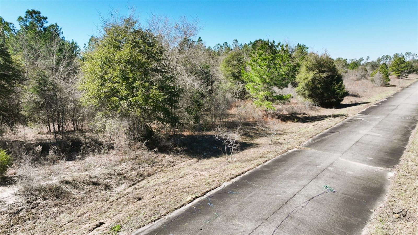 Stone Bridge Trl Property Photo 29