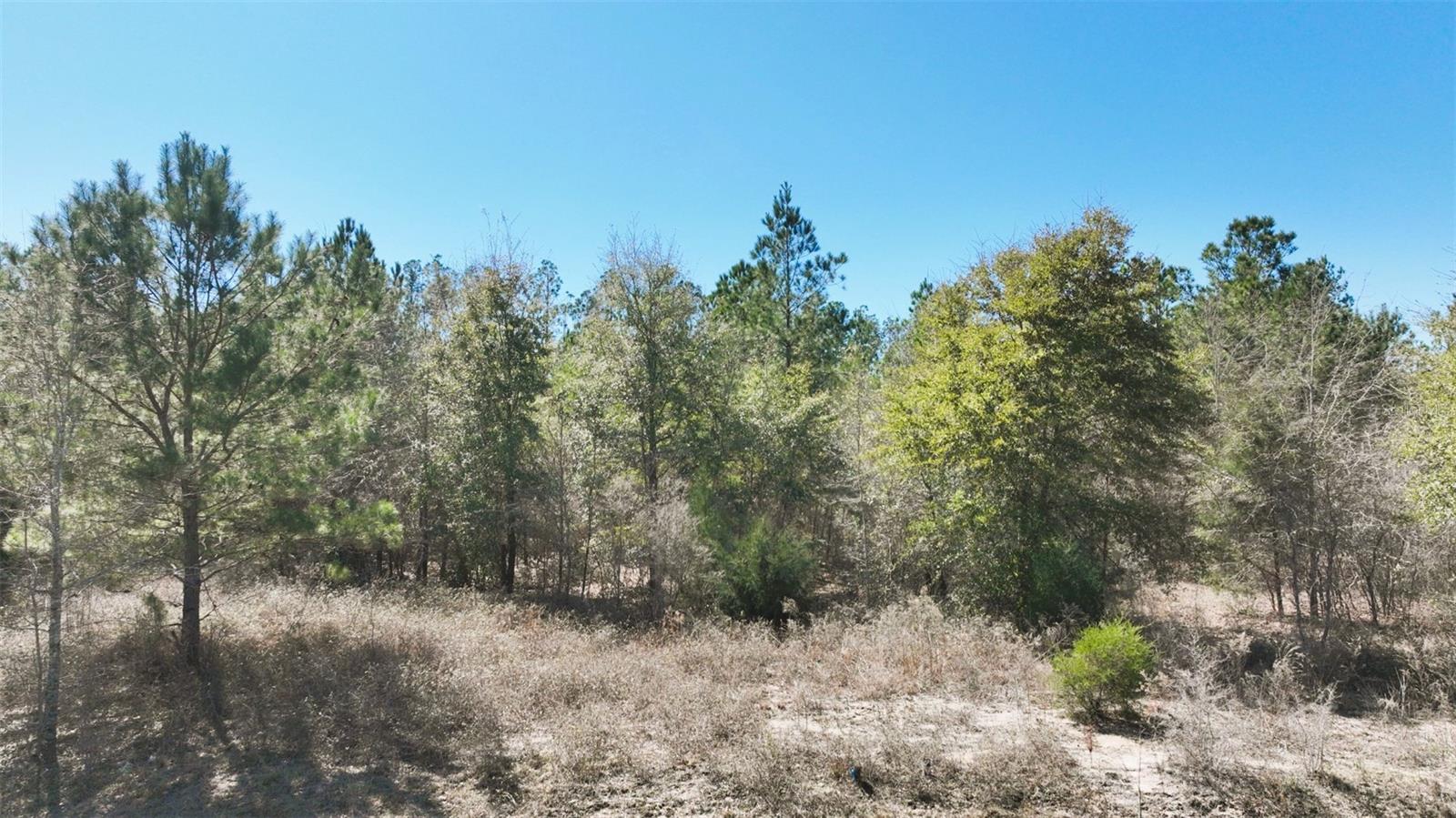 Stone Bridge Trl Property Photo 30
