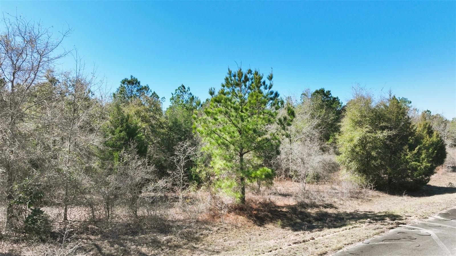 Stone Bridge Trl Property Photo 31