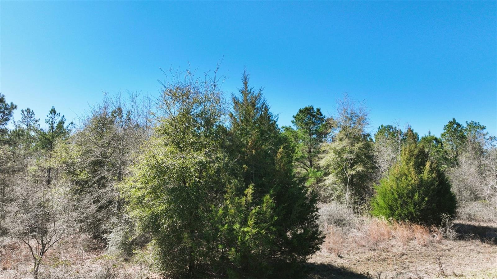 Stone Bridge Trl Property Photo 32