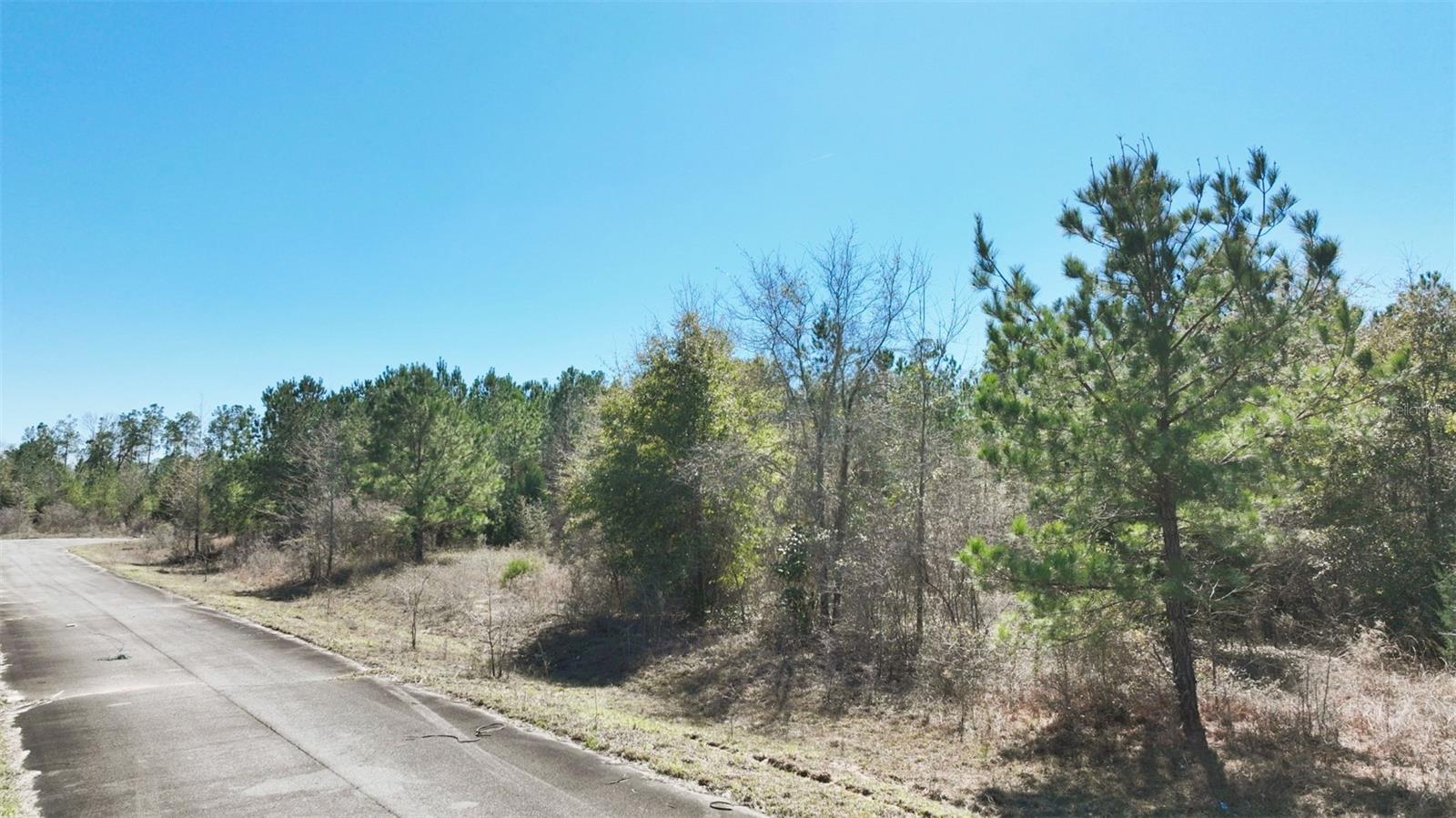 Stone Bridge Trl Property Photo 33