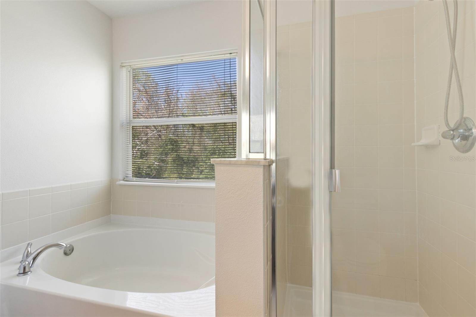 612 Old Pine Ct Property Photo 27