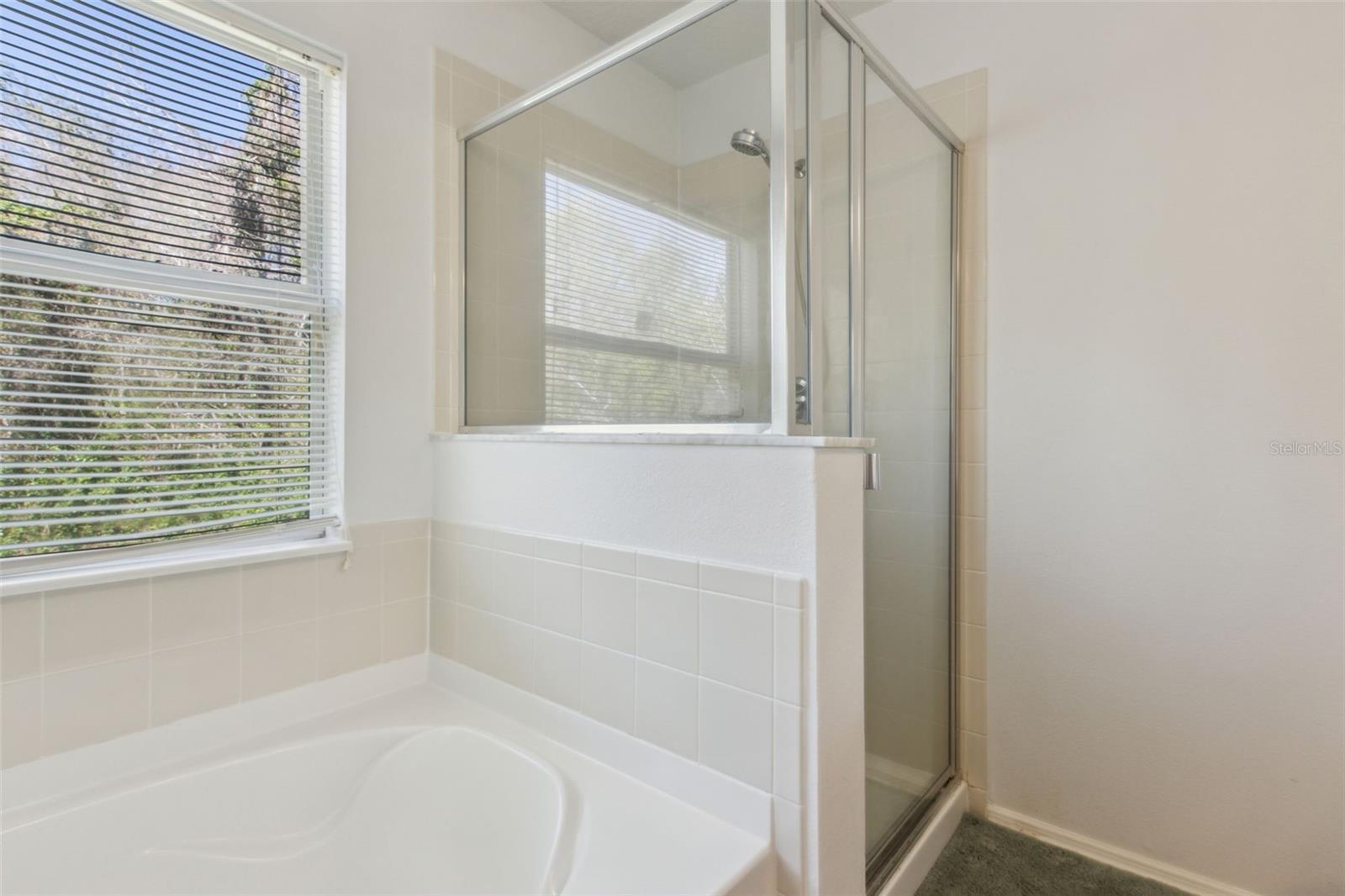 612 Old Pine Ct Property Photo 28