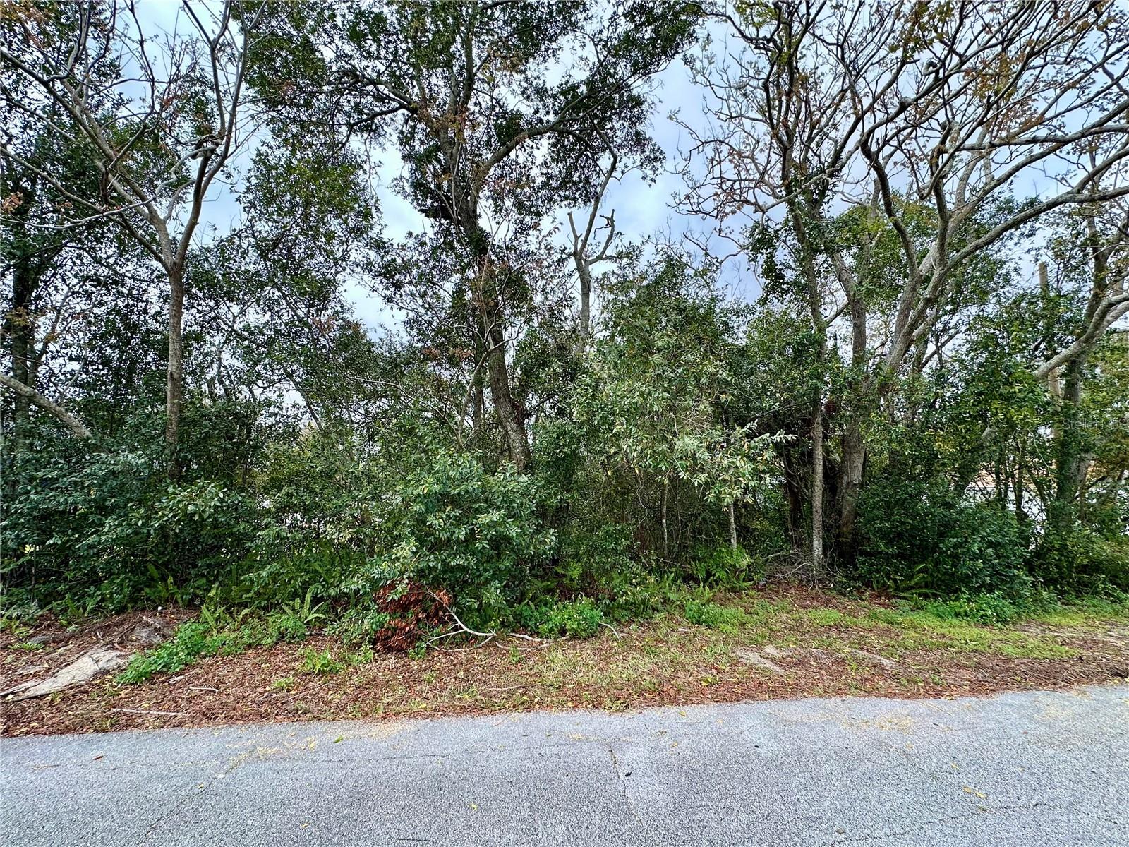 761 Arlene Dr Property Photo 1