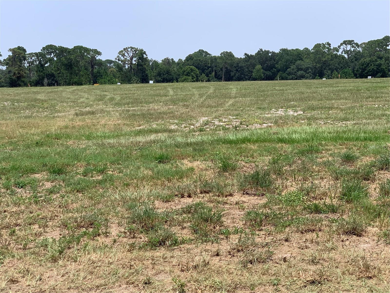3448 Lake Diane Rd Property Photo 2