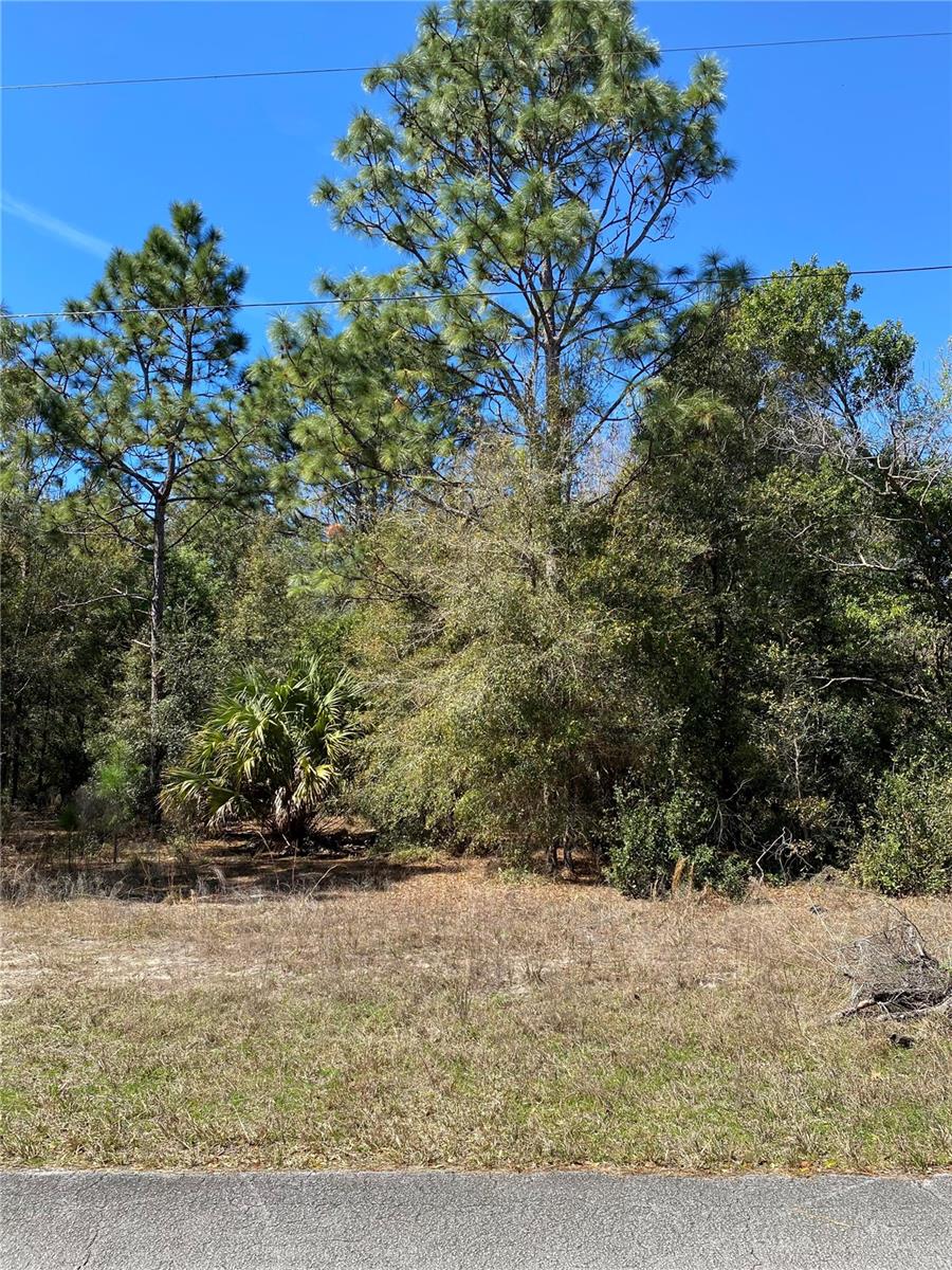 8630 N Catapane Loop Property Photo 2
