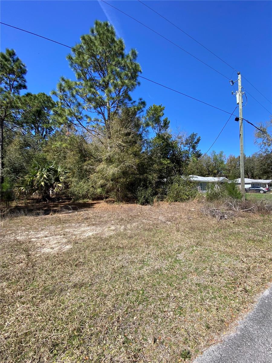 8630 N Catapane Loop Property Photo 3