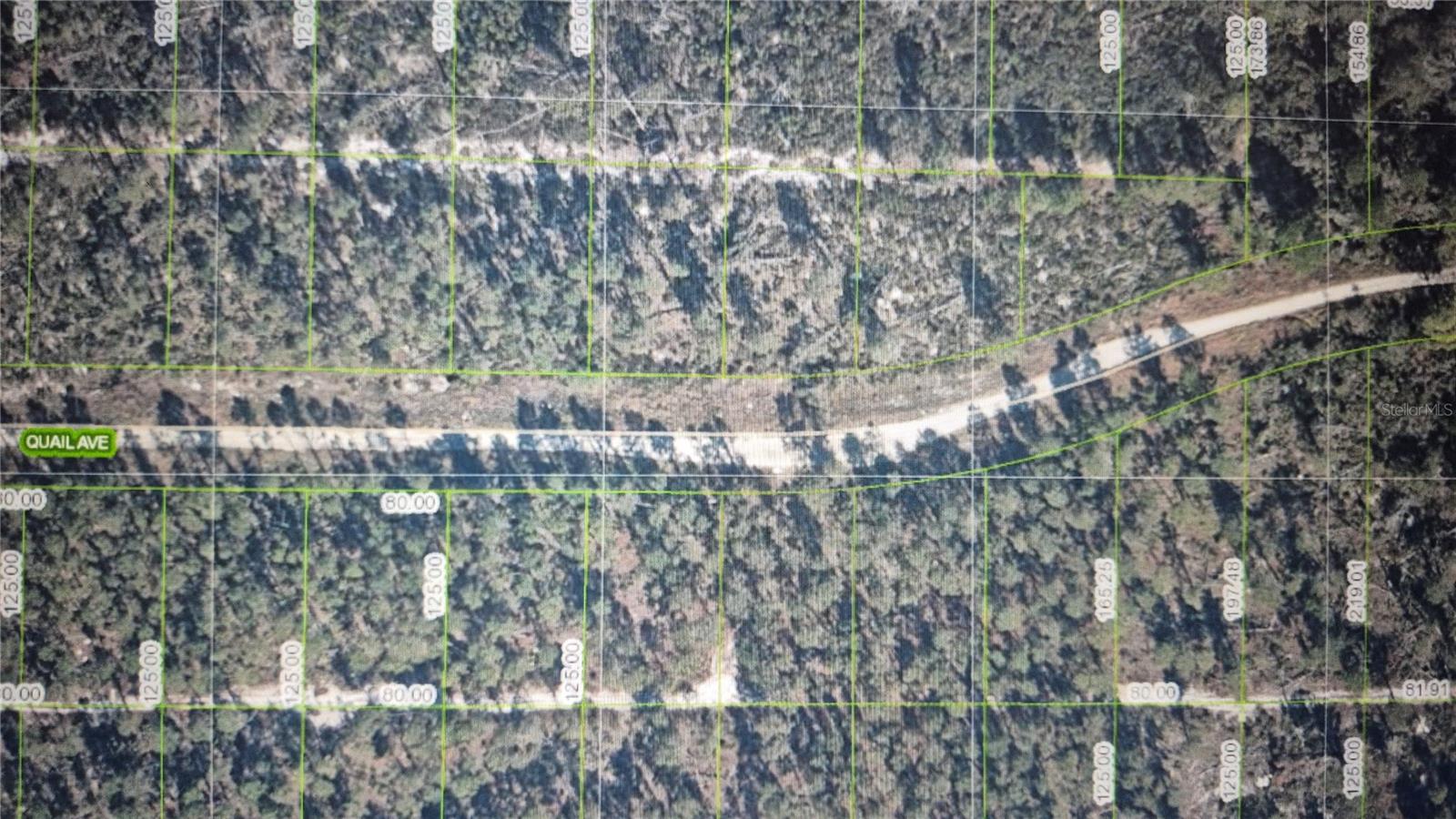 504 Quail Ave Property Photo 2