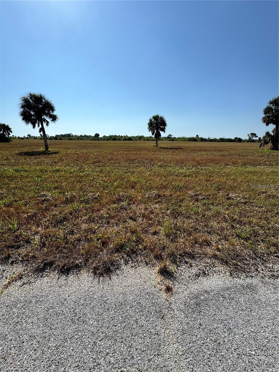 12496 TOADFISH CT Property Photo 1