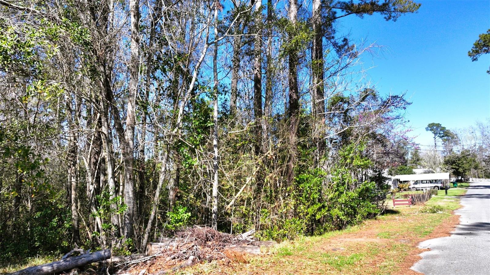 1110 Lorraine Ave Property Photo 35