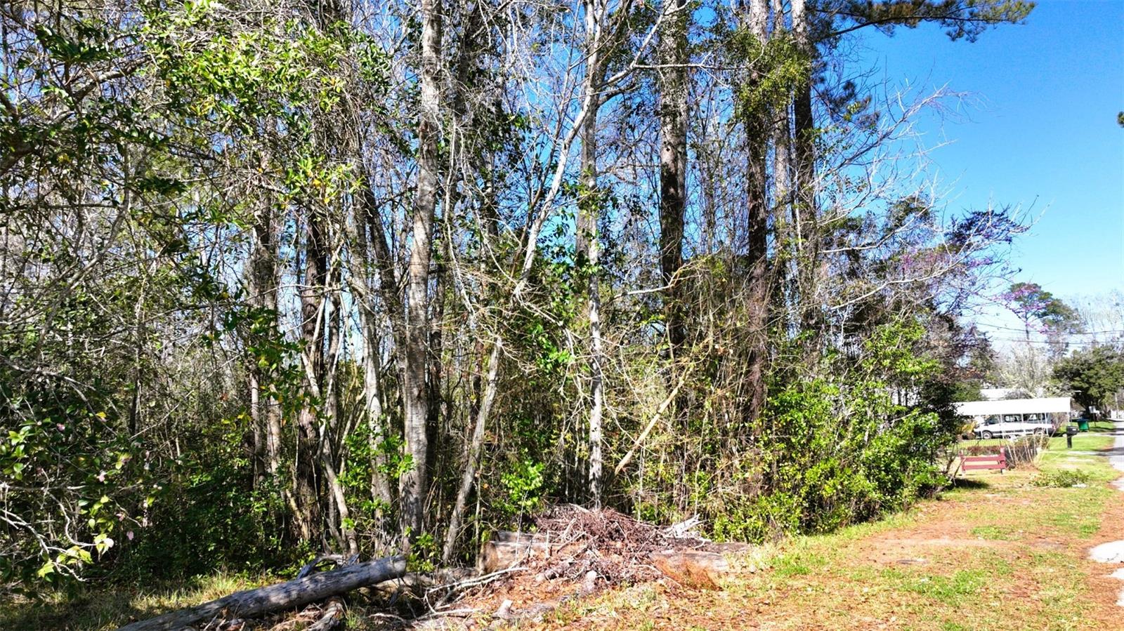1110 Lorraine Ave Property Photo 38