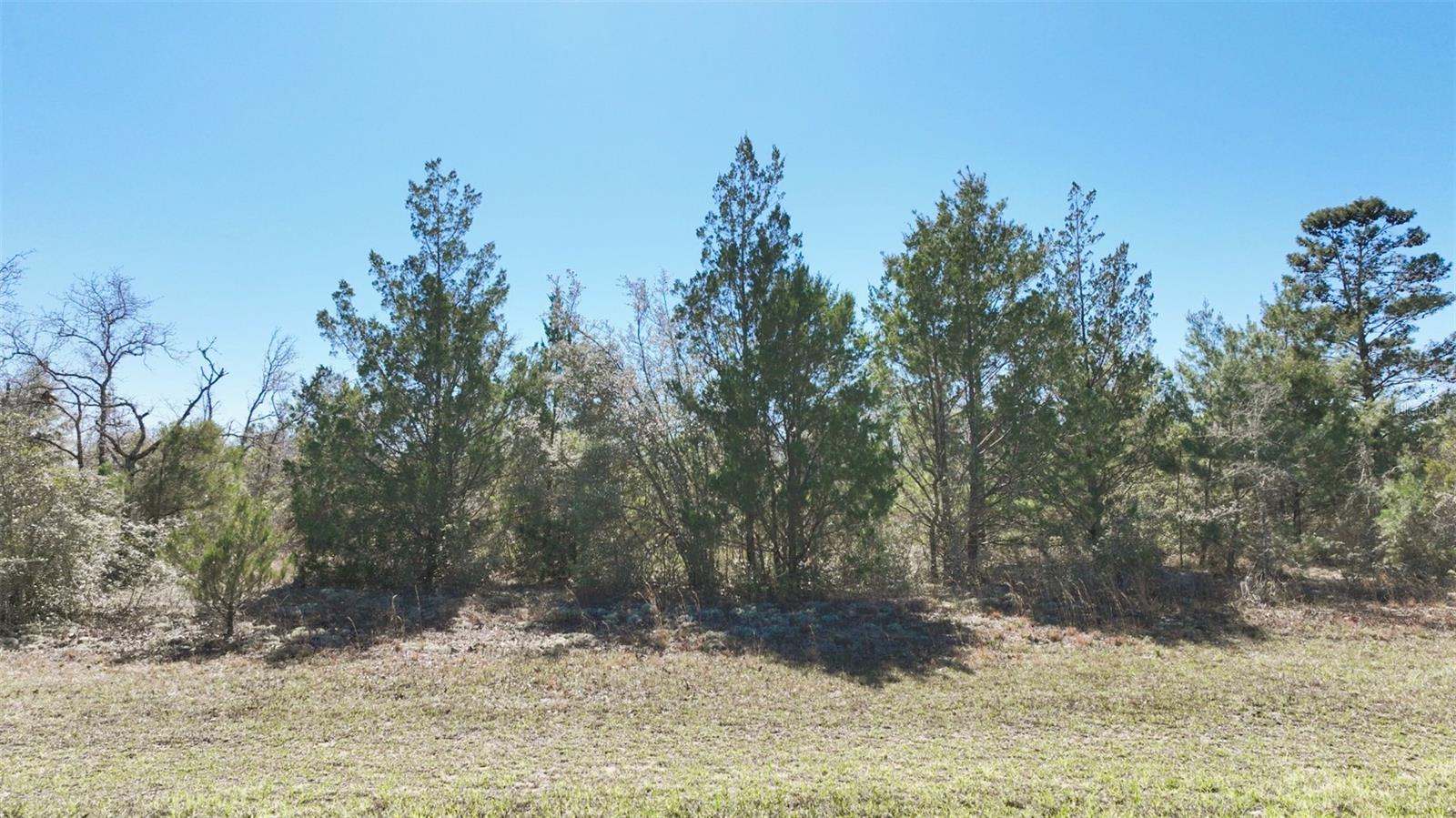 Nortek Blvd Property Photo 31