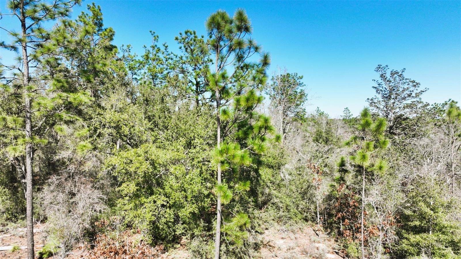 Nortek Blvd Property Photo 25