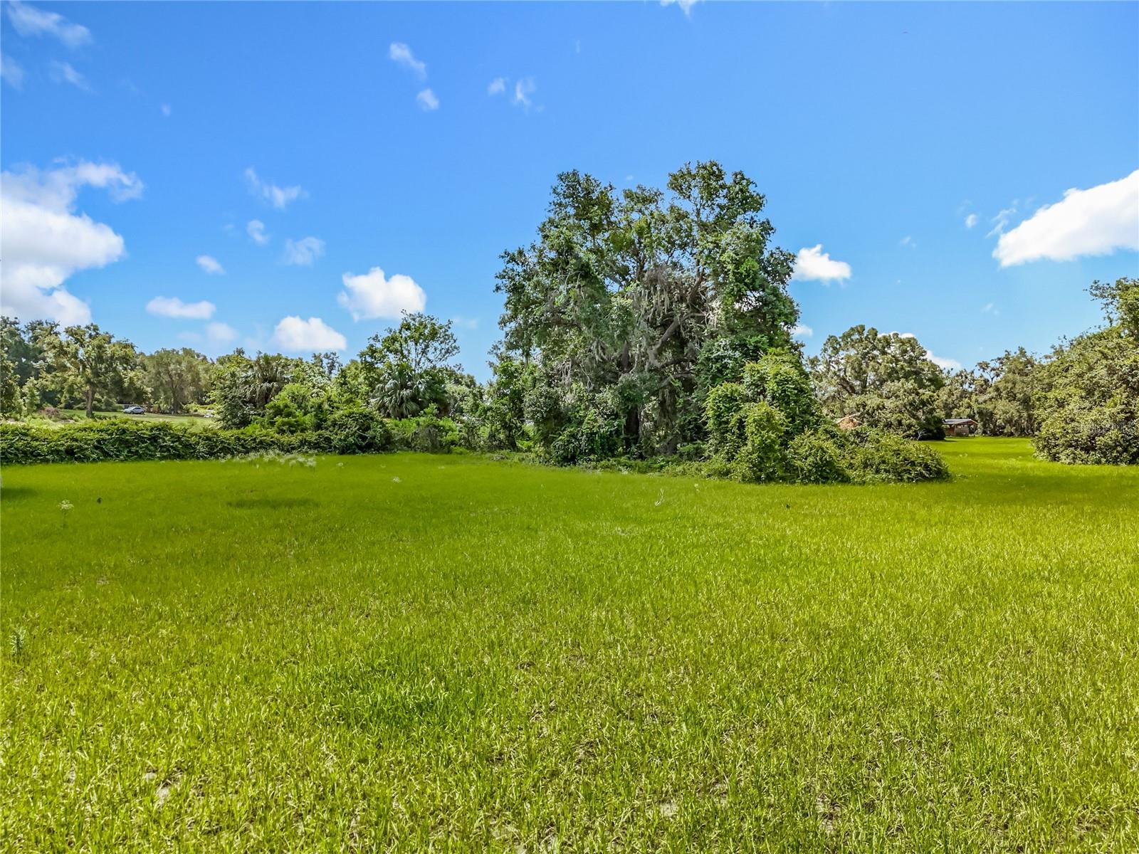 41204 Emeralda Island Rd Property Photo 31