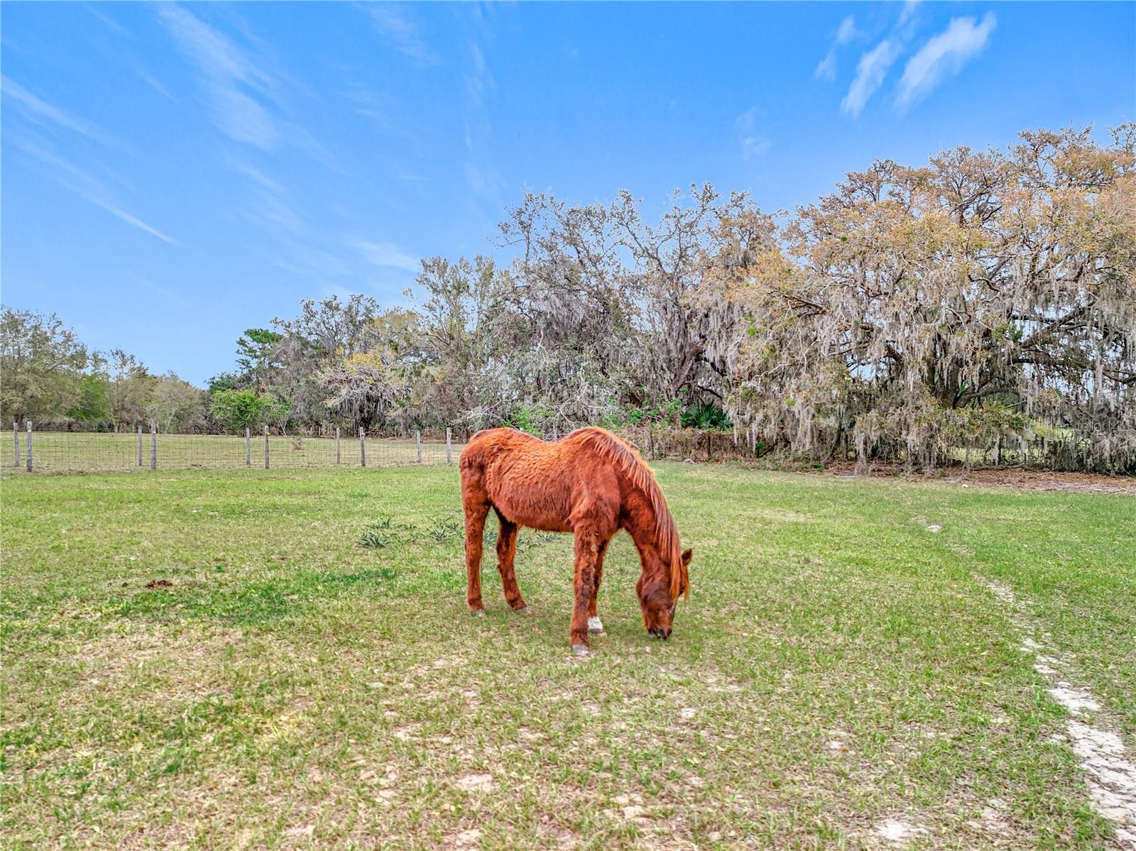 41204 Emeralda Island Rd Property Photo 35