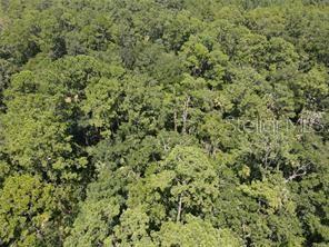 Salyers Rd Property Photo 1