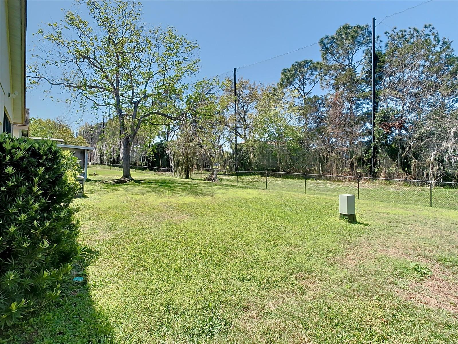 11624 Peach Grove Ln Property Photo 48
