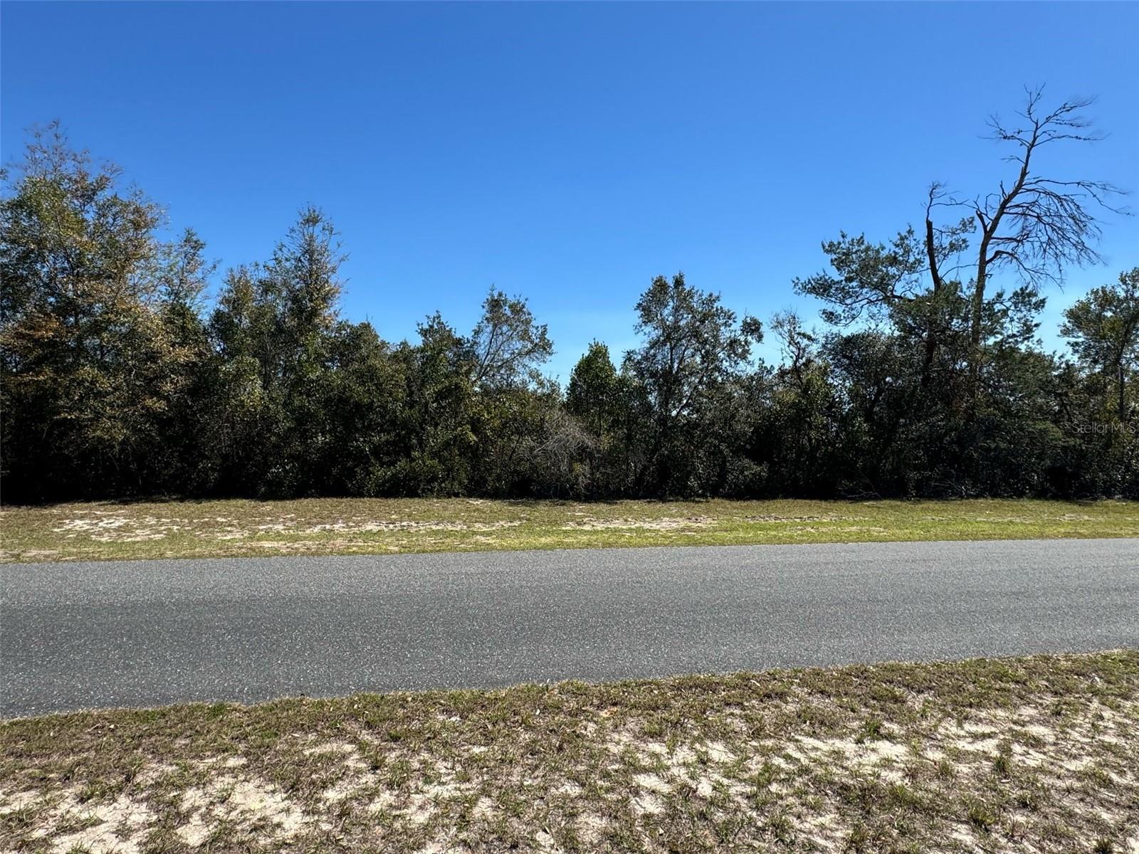 Lot 13 Block 743 Marion Oaks Unit 5 Property Photo 1