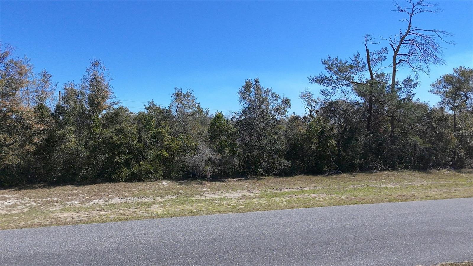 Lot 13 Block 743 Marion Oaks Unit 5 Property Photo 3