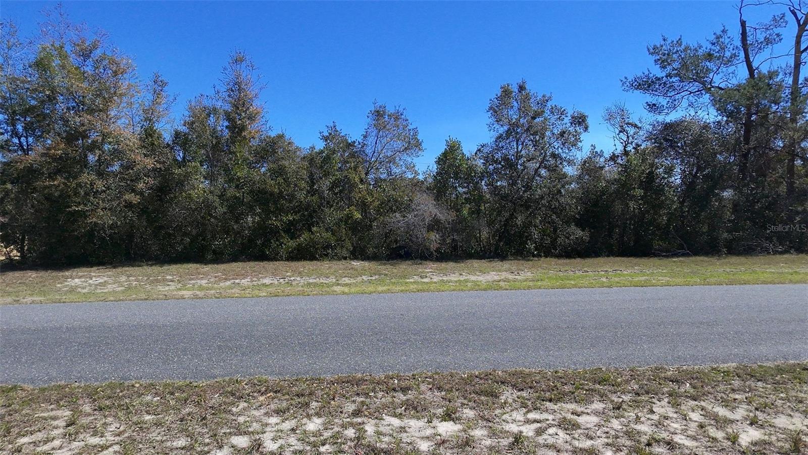 Lot 13 Block 743 Marion Oaks Unit 5 Property Photo 8
