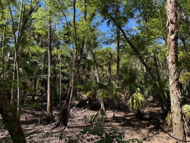 Lake Harney Rd Property Photo