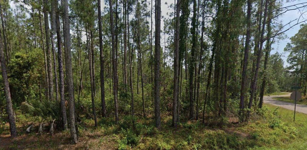 Highlands County Real Estate Listings Main Image