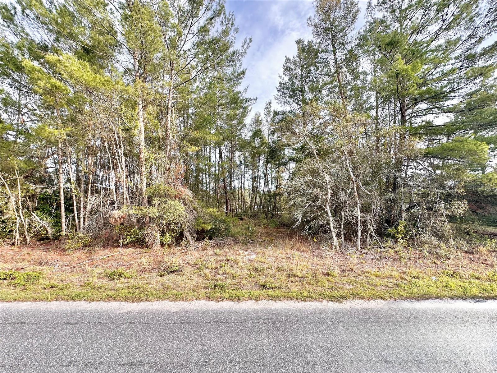 Azalea Ave Property Photo