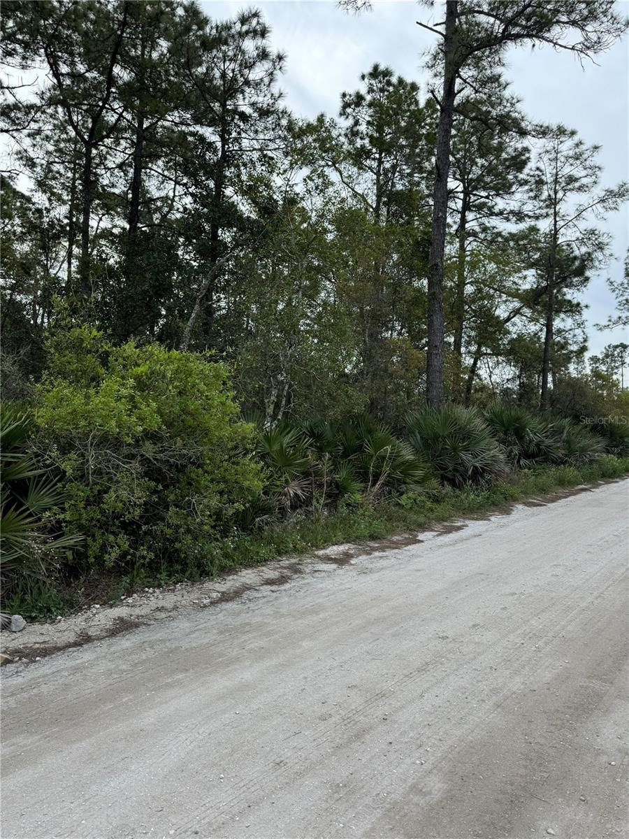 East Pkwy Property Photo
