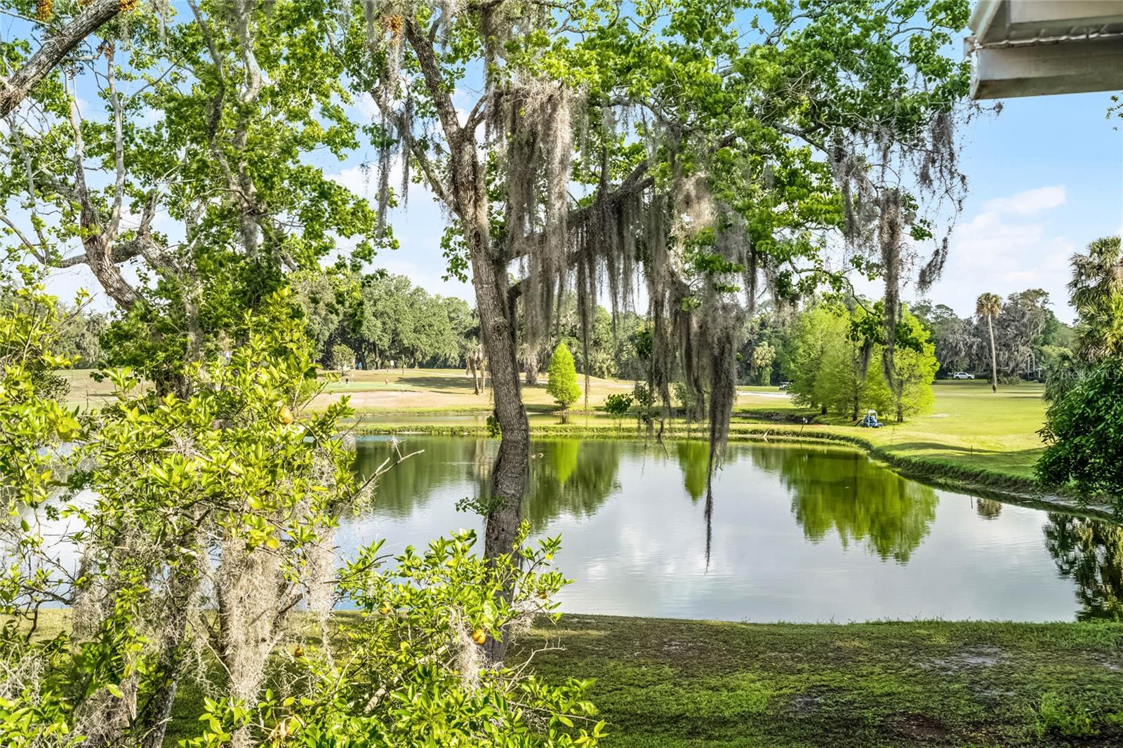 O6293311 Property Photo 1