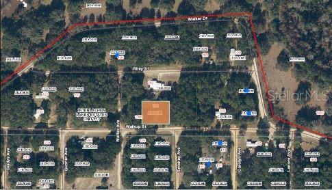 116 Walkup St Property Photo 4