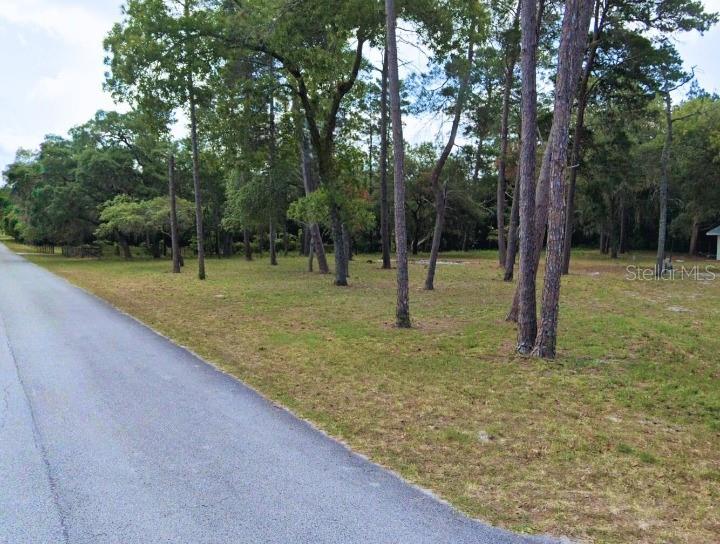 Shady Hills Real Estate Listings Main Image