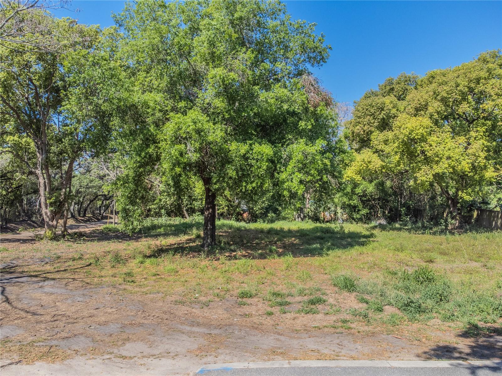 3rd Ave Property Photo 1
