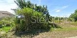 9193 Arberg St Property Photo 1