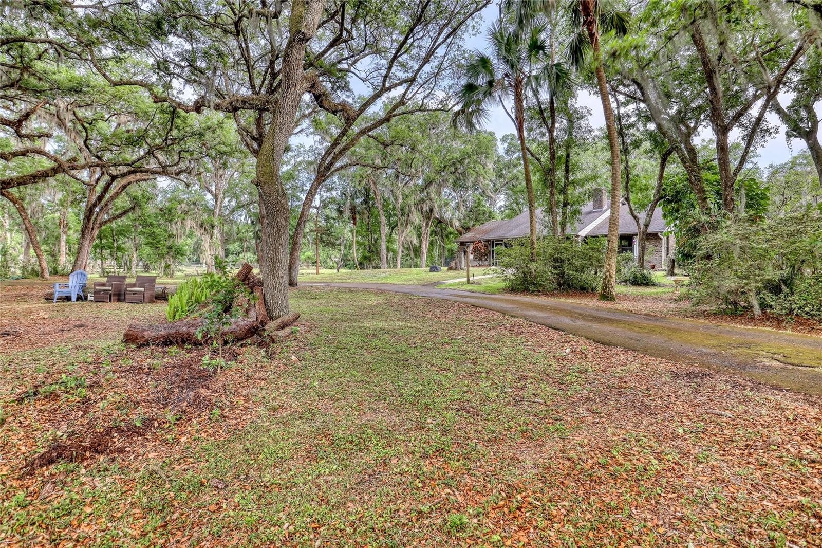 2475 Cox Rd Property Photo 59