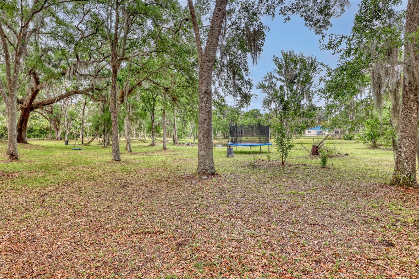 2475 Cox Rd Property Photo 60