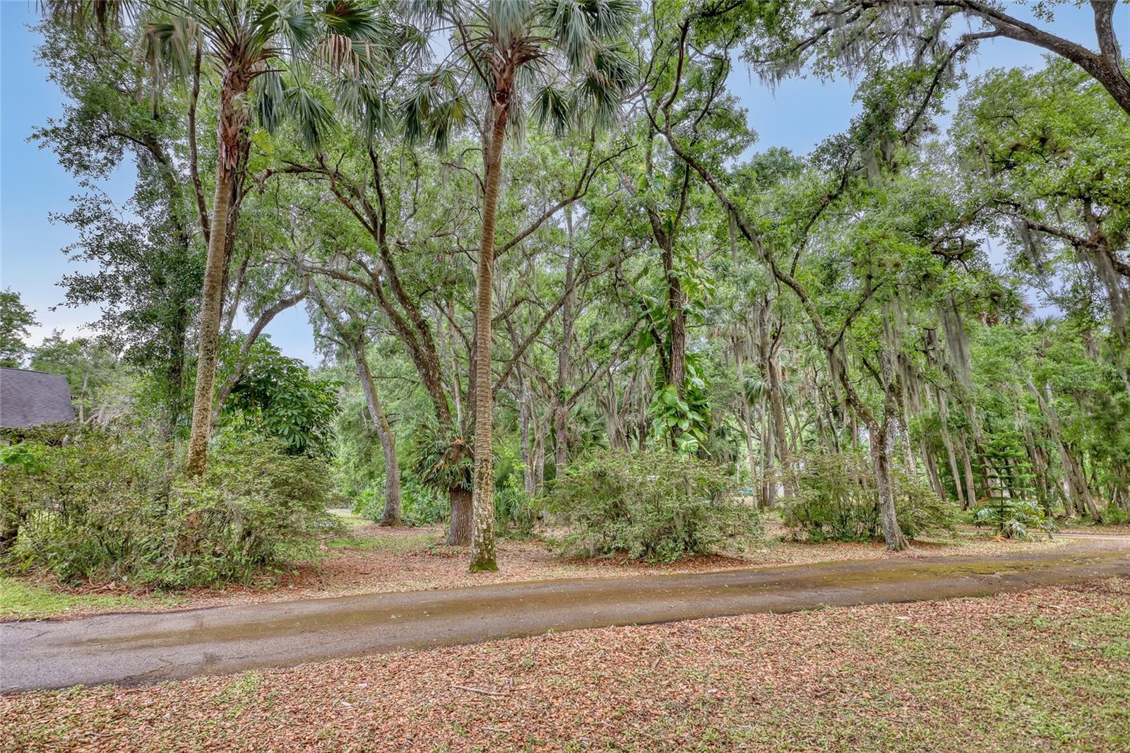 2475 Cox Rd Property Photo 68