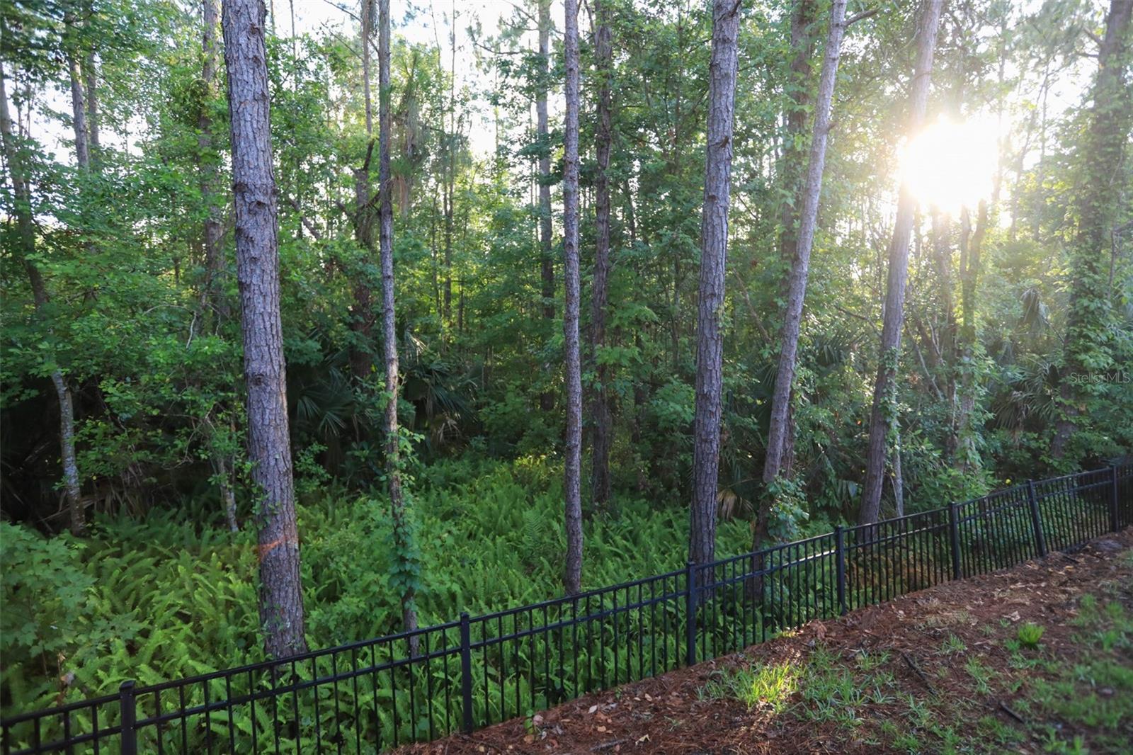8487 Crystal Cove Loop Property Photo 21