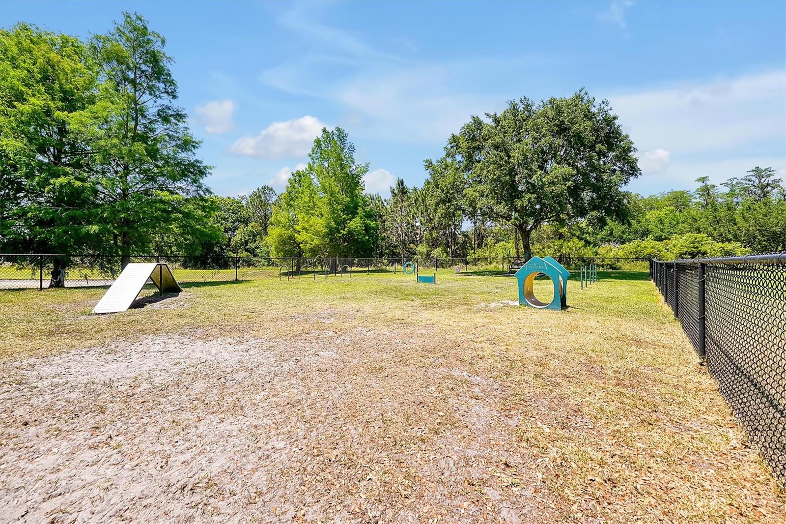 14522 Old Thicket Trace Property Photo 55