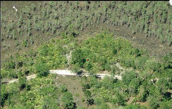 E Colonial Dr Property Photo 3