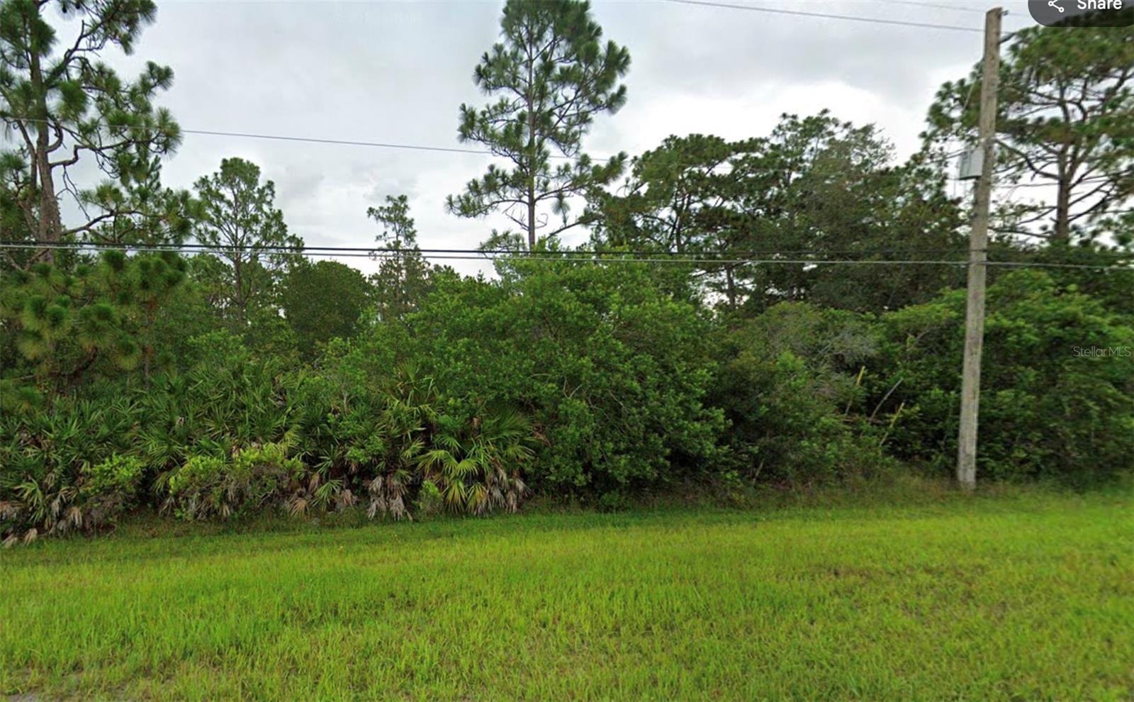 REYNOLDS PKWY Property Photo 1