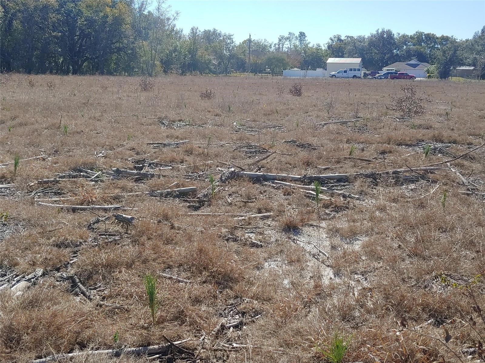Trapnell Rd Property Photo 4